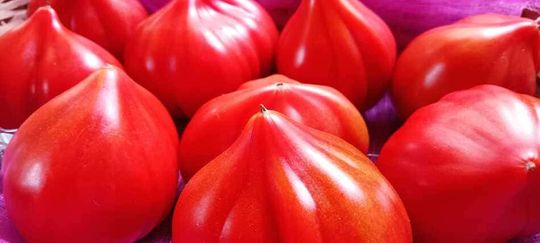 Variedad de tomate en la frutería